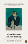 Good Reasons for Bad Feelings sinopsis y comentarios