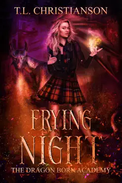 frying night book cover image