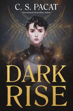 dark rise imagen de la portada del libro