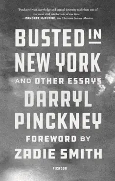 busted in new york and other essays book cover image