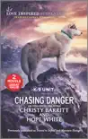 Chasing Danger synopsis, comments