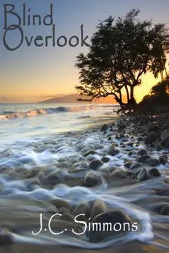 blind overlook book cover image