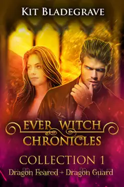 ever witch chronicles collection 1 book cover image