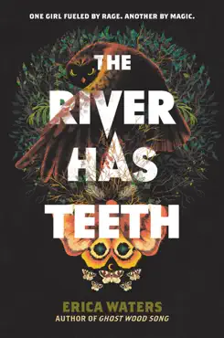 the river has teeth book cover image