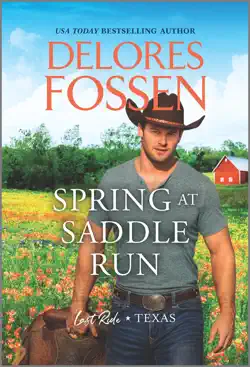spring at saddle run book cover image