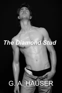 the diamond stud book cover image