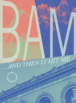 bam... and then it hit me book cover image