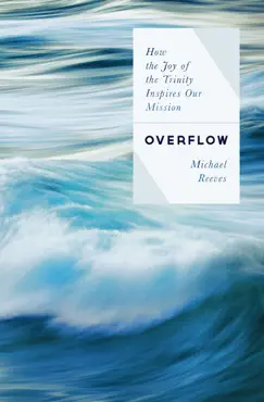 overflow book cover image