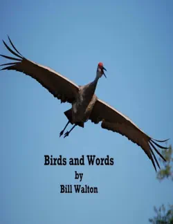 birds and words book cover image
