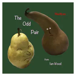 the odd pair book cover image