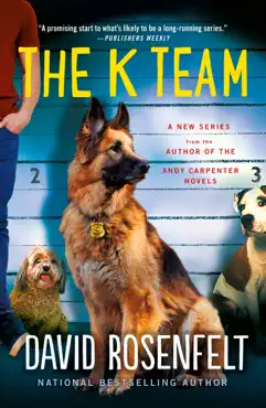 the k team book cover image