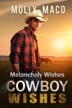 melancholy wishes book cover image