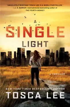 a single light book cover image