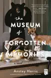 The Museum of Forgotten Memories synopsis, comments