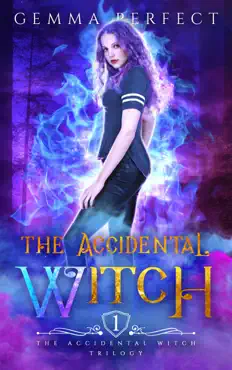 the accidental witch book cover image
