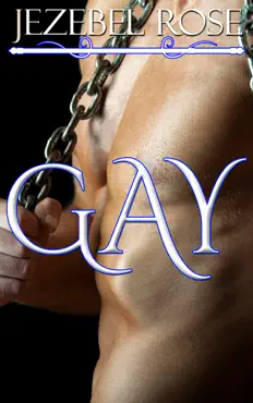 gay book cover image