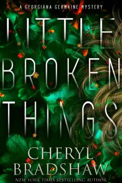 little broken things book cover image
