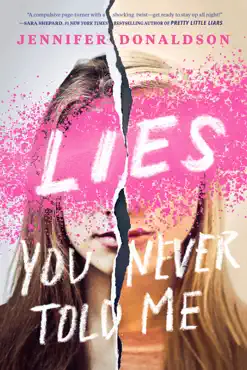 lies you never told me book cover image