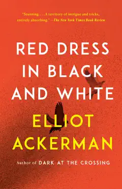 red dress in black and white book cover image