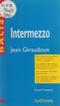 Intermezzo synopsis, comments