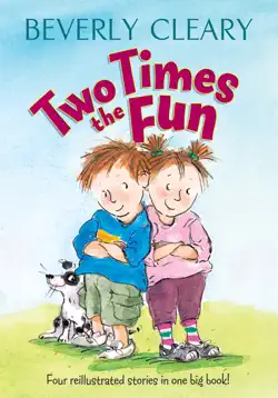 two times the fun book cover image