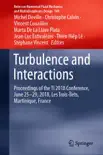 Turbulence and Interactions sinopsis y comentarios