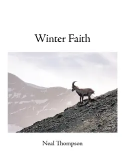 winter faith book cover image
