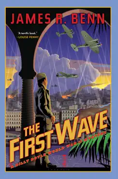 the first wave book cover image