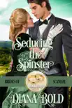 Seducing the Spinster synopsis, comments
