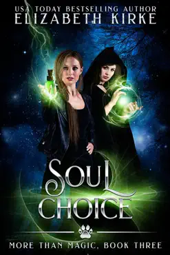 soul choice book cover image