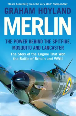 merlin book cover image
