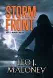 Storm Front synopsis, comments