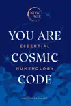 You Are Cosmic Code sinopsis y comentarios