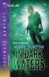 In Dark Waters synopsis, comments