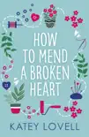 How to Mend a Broken Heart synopsis, comments