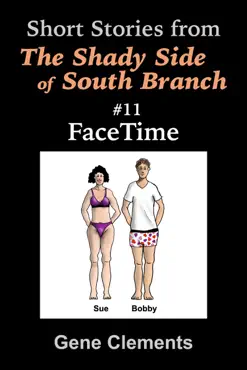 facetime book cover image