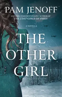 the other girl book cover image