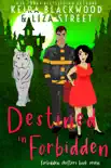 Destined in Forbidden synopsis, comments