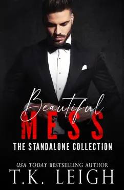 the beautiful mess series standalone collection book cover image