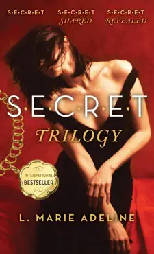 secret trilogy book cover image