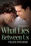 What Lies Between Us synopsis, comments