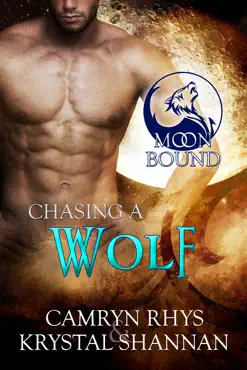 chasing a wolf book cover image