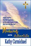 Heaven and the Afterlife synopsis, comments