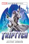 Triptych synopsis, comments