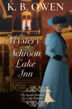 the mystery of schroon lake inn book cover image