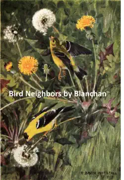 bird neighbors book cover image