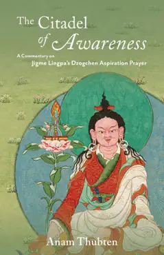 the citadel of awareness book cover image