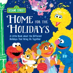 home for the holidays book cover image