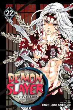 demon slayer: kimetsu no yaiba, vol. 22 book cover image