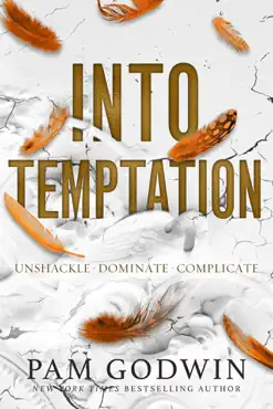 into temptation book cover image